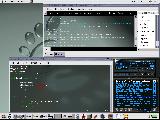 Screenshot_neolk.png