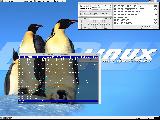 tiri.png